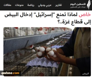 خبرگزاری فلسطین الیوم گزارش داد:

مهندسی گرسنگی در نوار غزه؛ چرا اسرائیل از ورود تخم مرغ جلوگیری می‌کند؟