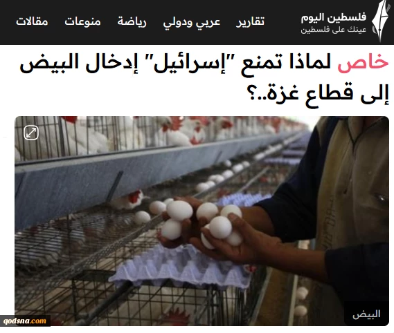 خبرگزاری فلسطین الیوم گزارش داد:

مهندسی گرسنه‌سازی در نوار غزه؛ چرا اسرائیل از ورود تخم مرغ جلوگیری می‌کند؟ 2