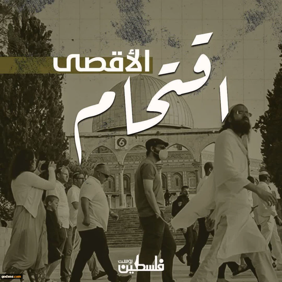 تعرض ۱۰۷۸ شهرک‌نشین به مسجد الاقصی در هفته گذشته  2