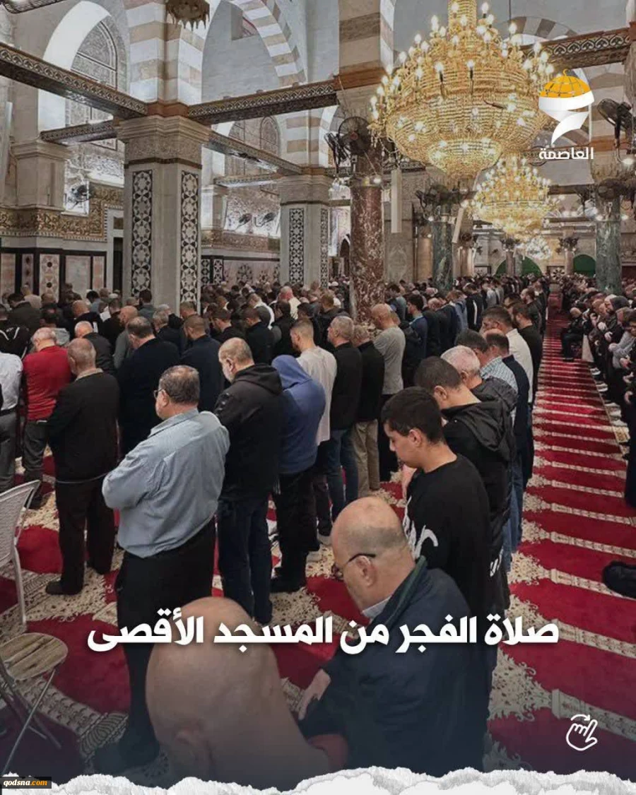 تصاویری از اقامه نماز صبح امروز در مسجد مبارک الاقصی 2