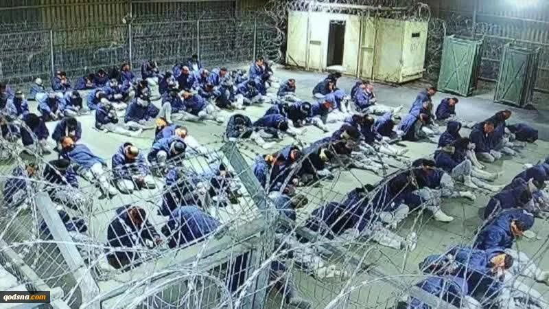 سدیه تیمان؛ روایتی تکان‌ دهنده از شکنجه، تحقیر و شهادت تدریجی و آهسته اسرای فلسطینی 2