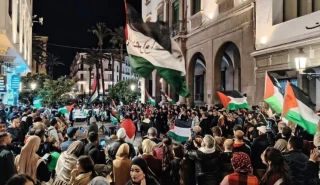 در یک هفته اخیر برگزار شد؛

تظاهرات گسترده در بیش از 10 کشور جهان در حمایت از فلسطین و تاکید بر تحریم تل‌آویو+ تصاویر