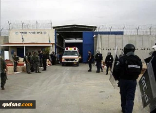 پنج اسیر فلسطینی آزاد شدند