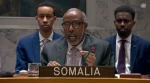 جدال نمایندگان سومالی و اسرائیل در شورای امنیت؛ هشدار سازمان ملل و حمایت آمریکا 2
