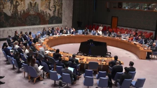 UNSC members condemn Israel's 'illegitimate' recognition of Somaliland