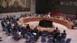 UNSC members condemn Israel's 'illegitimate' recognition of Somaliland