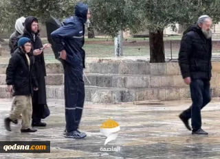 تعرض شهرک‌نشینان اشغالگر به مسجدالاقصی