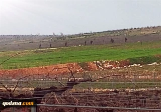 تجاوز مرزی رژیم صهیونیستی به جنوب لبنان