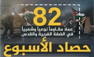 مرکز پژوهشی آماری معطی گزارش داد؛

82 عملیات مقاومتی در یک هفته اخیر/ ثبت میانگین 12 عملیات در هر روز+ نمودار 2