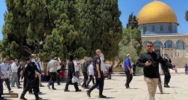 کارشناس امور قدس تشریح کرد:
تحرکات خطرناک اشغالگران علیه مسجدالاقصی
 2