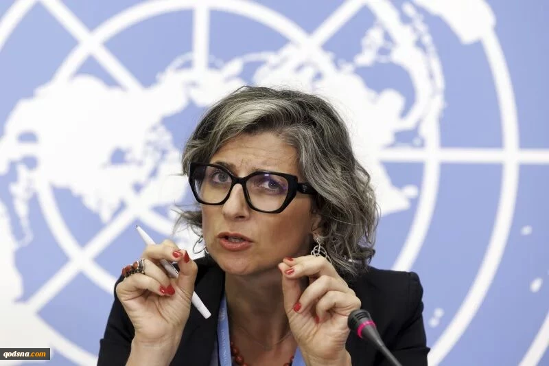 فعال حقوق بشر:
درخواست فرانسه برای برکناری «آلبانیز» تعدی به استقلال سازمان ملل است 2