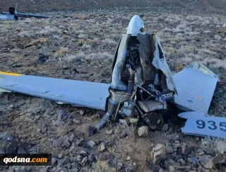 Iran Army downs 6 invading Hermes drones