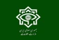 شناسایی و دستگیری ۴۶ مزدور دشمن آمریکایی-صهیونیستی در پنج استان