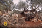 آژیر خطر حمله پهپادی در شمال فلسطین اشغالی/ ضربات مهلک مقاومت به اشغالگران ادامه دارد 2