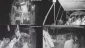 Widespread int’l condemnation of Israel’s attack on Global Sumud Flotilla