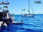 Sumud Flotilla Coalition launches five ships from Greece to break Gaza blockade