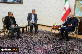 دیدار وزیر کشور پاکستان با رئیس مجلس شورای اسلامی؛

قالیباف: برخی دولتهای منطقه تصور می کردند حضور آمریکا برای آنها امنیت آور است