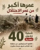 قطع 40 درخت زیتون با عمر بالاتر از رژیم جعلی 2