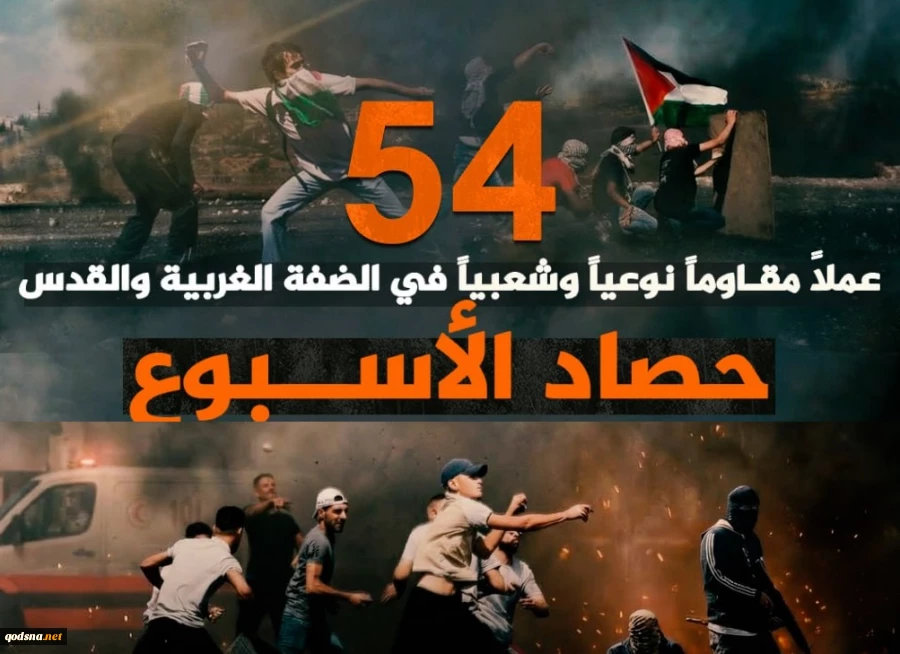 مرکز پژوهشی آماری معطی گزارش داد؛

54 عملیات مقاومتی در یک هفته اخیر/ ثبت میانگین 8 عملیات در هر روز+ عکس 2