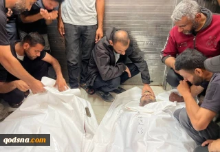 Since ceasefire, 981 Palestinians martyred in Gaza