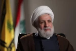 نعیم قاسم