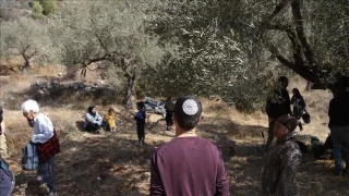 روزانه ۱۷ فلسطینی آواره می‌شوند