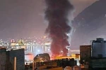 یمن: تحرکات عربستان با نقشه‌های آمریکا و اسرائیل همسو است 2