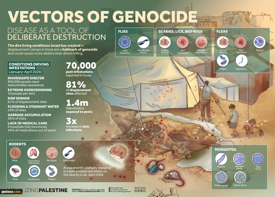 Vectors of Genocide: Disease as a Tool of Deliberate Destruction