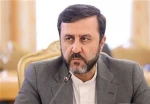 غريب آبادي: الشعب الإيراني لا يتراجع أمام الضغوط ويتمسك بموقفه في مواجهة التهديدات 2