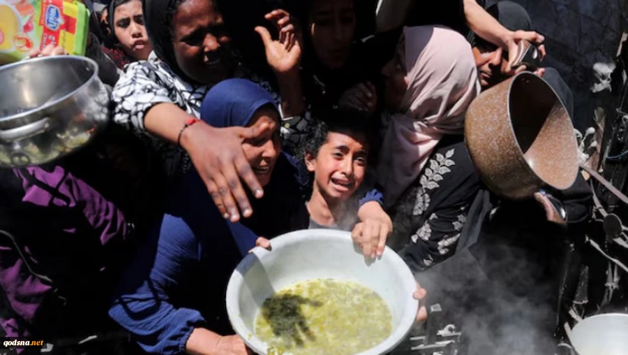 Israel’s genocidal war leaves just 3% of Gaza’s farmland usable: FAO