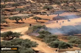 وزیر خارجه فرانسه: خشونت شهرک نشینان اسرائیلی شرم آور است