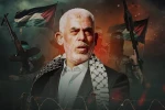کمیته‌های مقاومت: شهید سنوار نماد اراده‌ای بود که در برابر اشغالگران نشکست