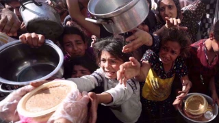 WFP cuts food aid for 500,000 Gazans amid funding crisis and ongoing restrictions