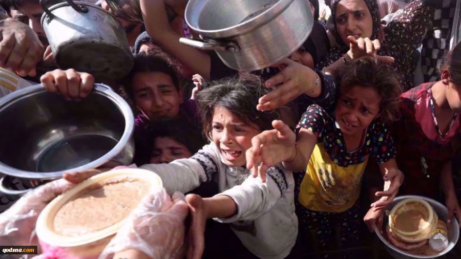 WFP cuts food aid for 500,000 Gazans amid funding crisis and ongoing restrictions