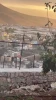 شهادت جوان فلسطینی در اردوگاه طولکرم و مقابله گروه‌های مقاومت با اشغالگران 3