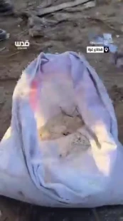 پدر فلسطینی در حال جمع‌کردن آرد از روی زمین: بچه‌های من یک هفته است که نان نخورده‌اند.