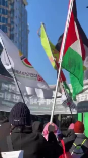 تظاهرات همبستگی با غزه در سئول